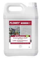 Grafiti eemaldusaine FLOWEY BT10 GRAFTEC 2 5L